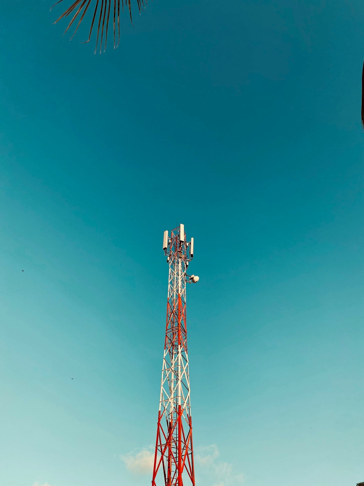 The Role of Wholesale Carriers in Modern Telecom